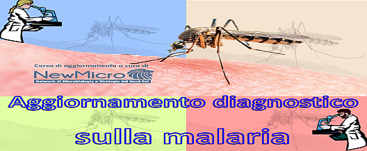 Aggiornamento diagnostico sulla  Malaria
